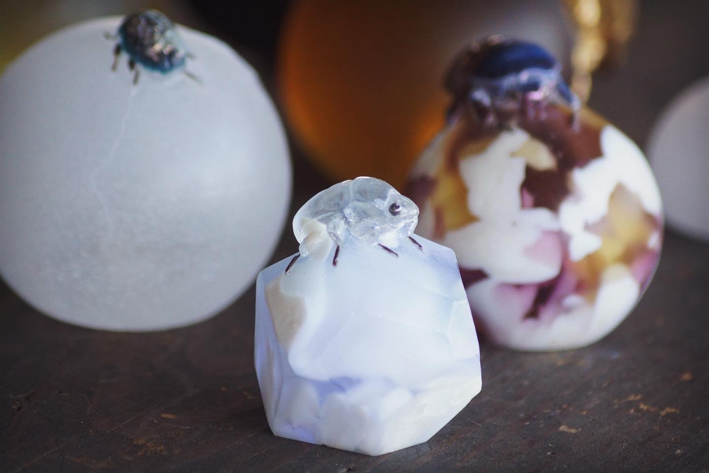 ガラス作家】芝崎由華さんの作品を取扱開始しました | 蟲と焼菓子 昆蟲