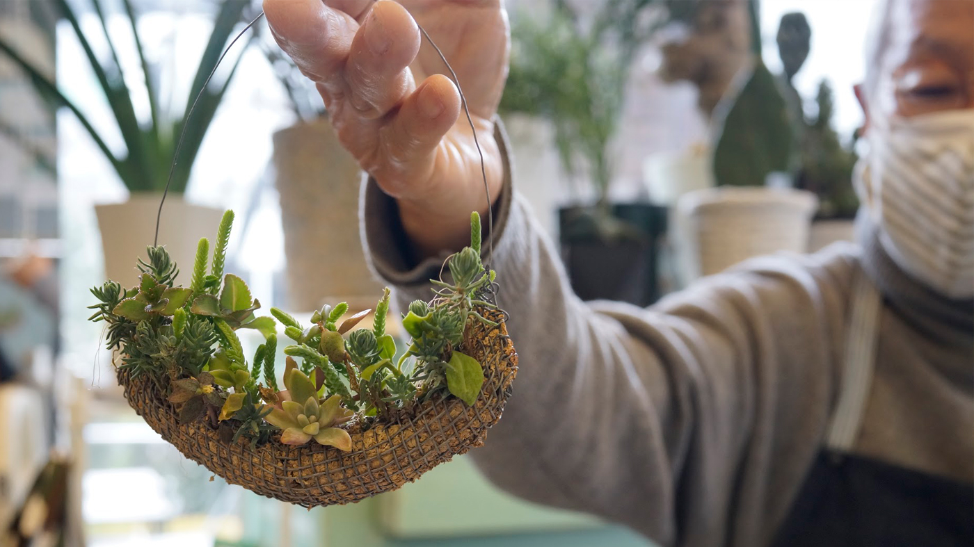 事例紹介『サボテン LABO』様 - Case | 十和田グリーンタフ・アグロ