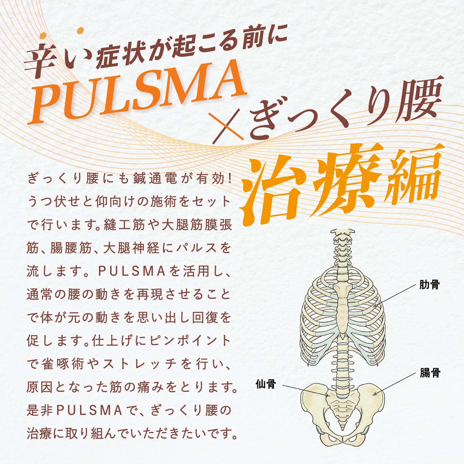 鍼電極低周波治療器 PULSMA8s（パルスマ8s）【まとめ買い】 | トワテック