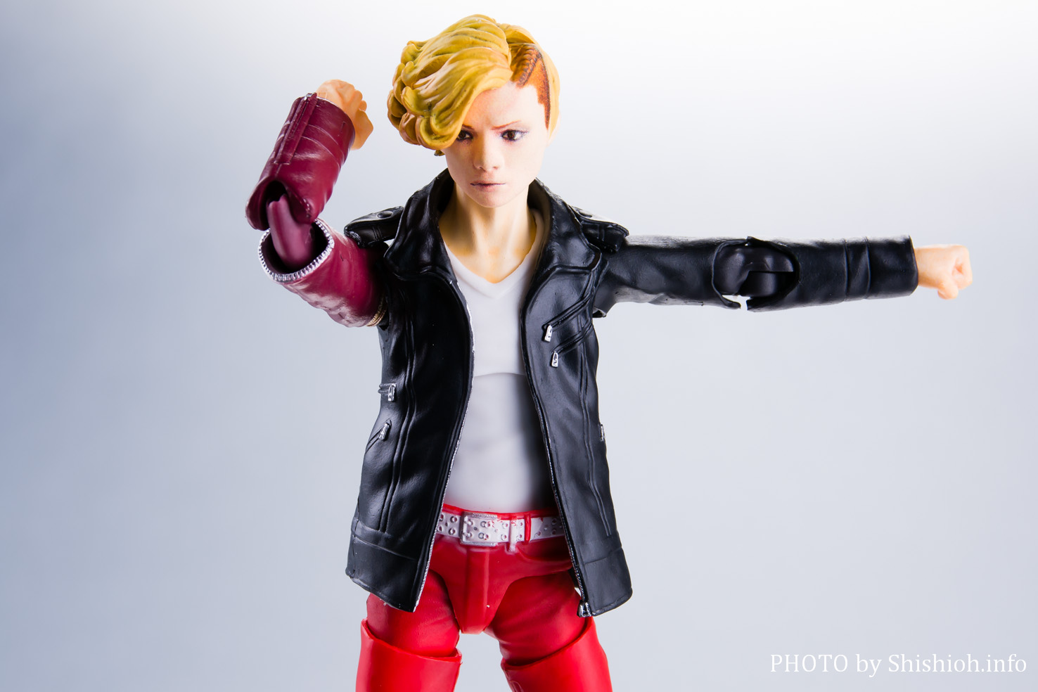 レビュー】 S.H.Figuarts アンク（人間態）