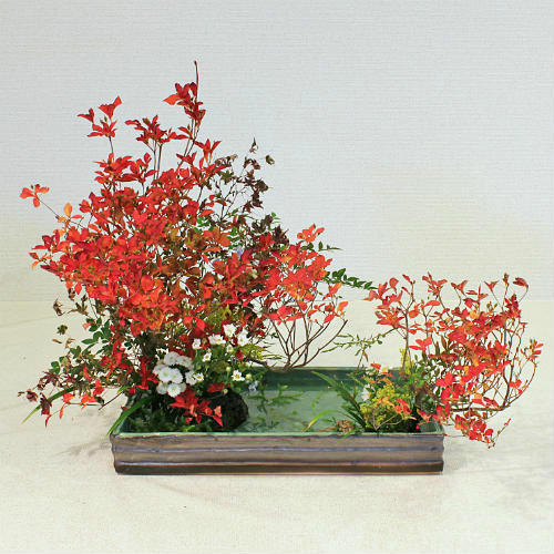 楽天市場】信楽焼 水盤 いぶし中青磁長角 20号 生け花 花器 池坊 小原