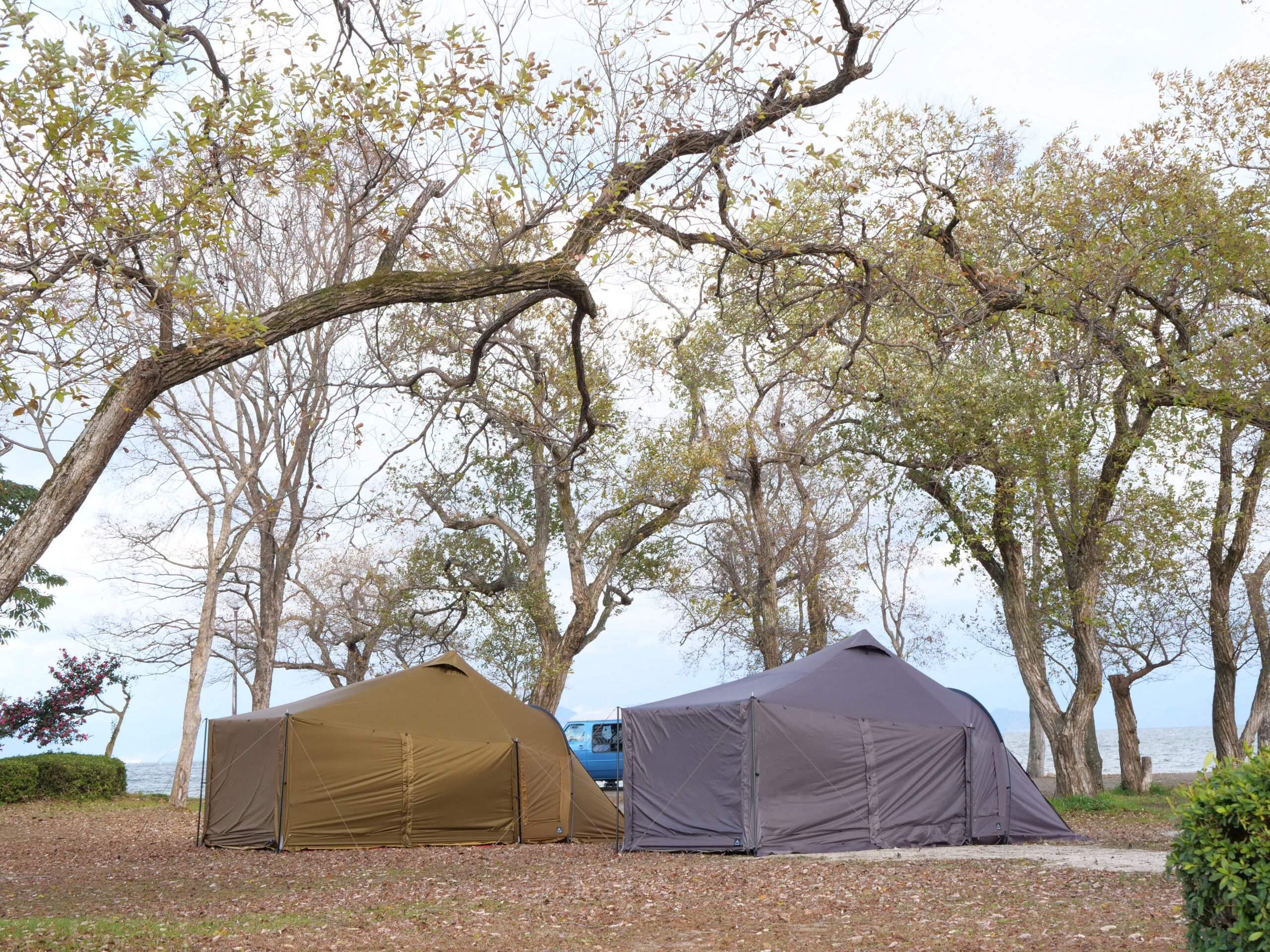 楽天市場】WAL3（ヴァル3）RATELWORKS ラーテルワークス キャンプ