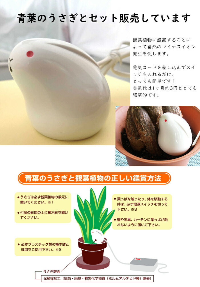 楽天市場】マイカの岩盤浴 M-1000 空気活性器 青葉のうさぎ セット 8畳