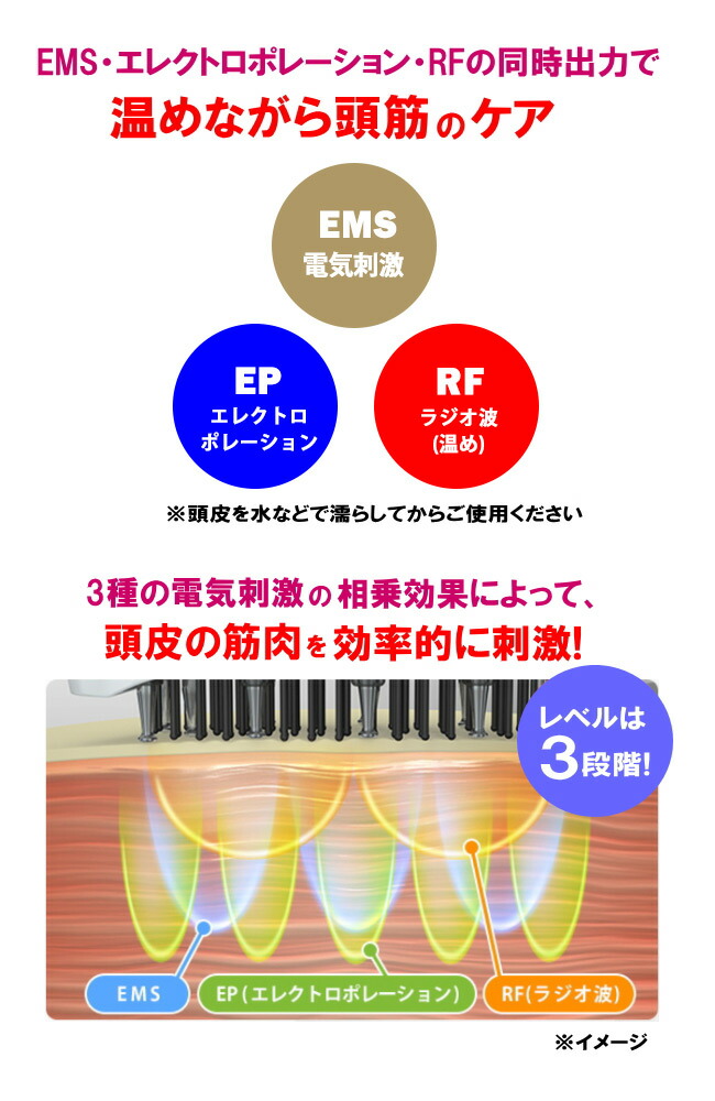 楽天市場】TVで紹介 アデランス DoRAISE 電気リフトブラシ ドゥライズ