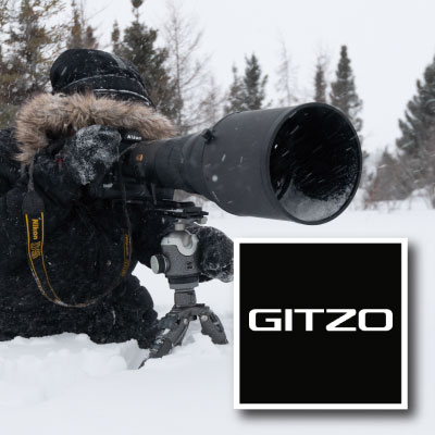 楽天市場】【公式 展示中古品Bランク】Manfrotto マンフロット