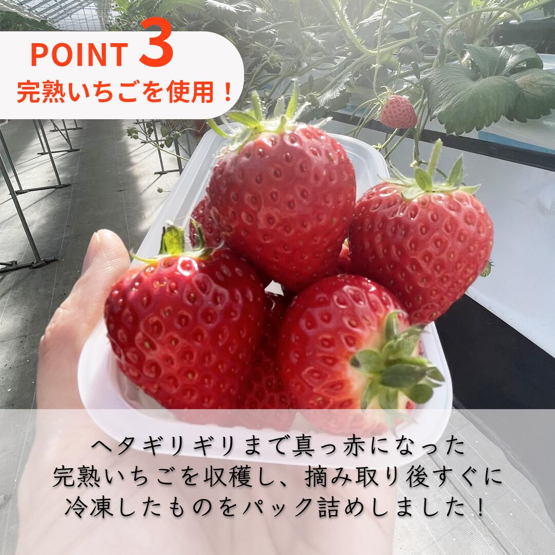 楽天市場】【宮城県産 冷凍イチゴ！1kg】いちご ブランド苺 ヘタなし