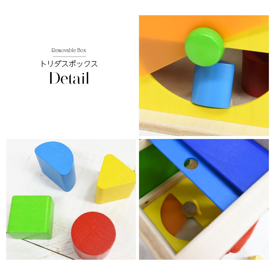 楽天市場】【TOYS】Selecta トリダスボックス（SE62019）セレクタ社 形