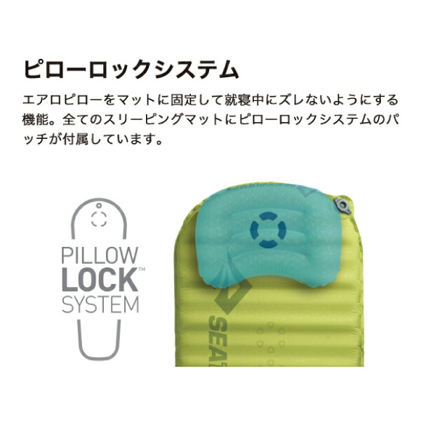 楽天市場】【25日は！枚数限定 最大1,000円OFFクーポン】シートゥ