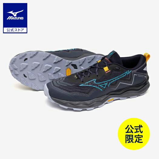 楽天市場】ミズノ公式 【ミズノ直営店限定】ウエーブダイチ9 GTX