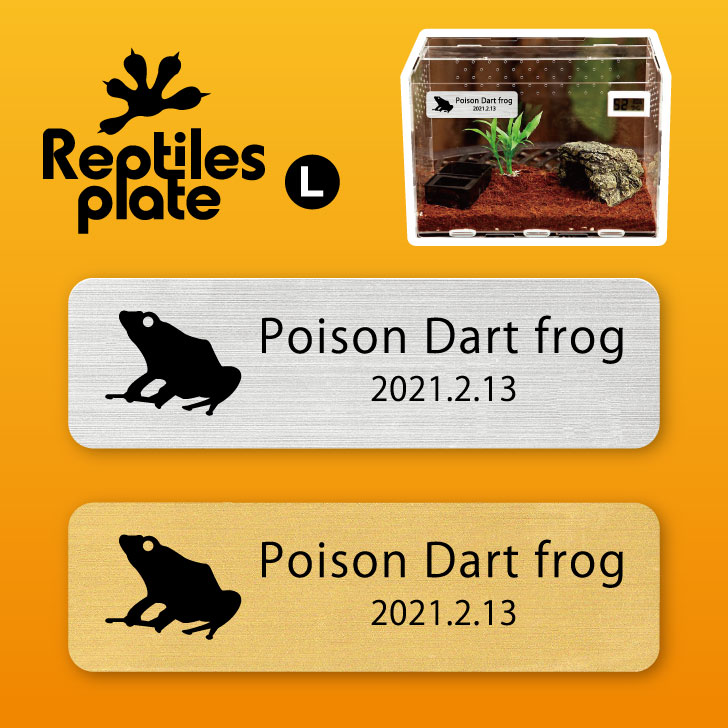 楽天市場】【 マラソン中 P5倍 】 レプタイルズ プレート L