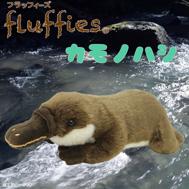 楽天市場】フラッフィーズ ぬいぐるみ Mサイズ カモノハシ【P-1053