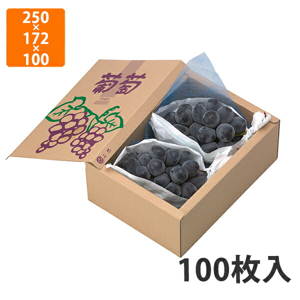 楽天市場】【エントリーで、2月はずっとポイント5倍！】【化粧箱】L