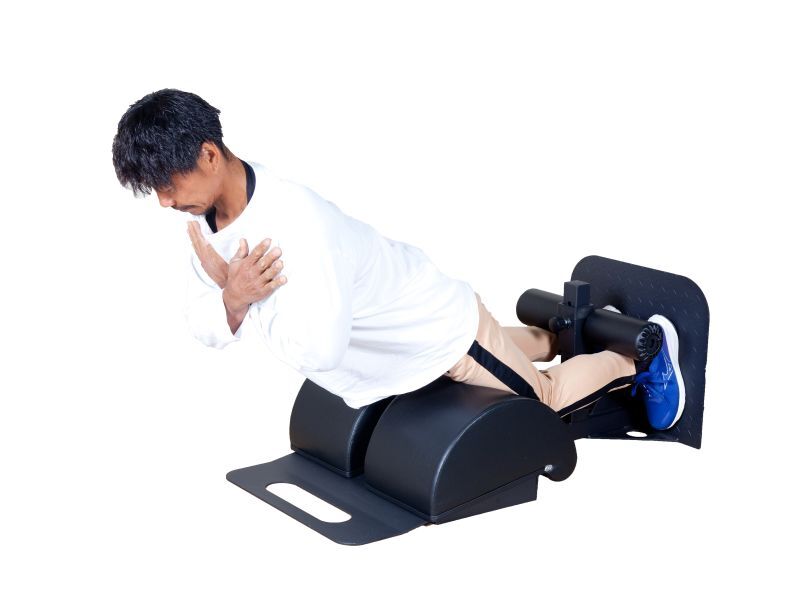 楽天市場】グルートハムディベロッパー 送料無料 gdh グルート