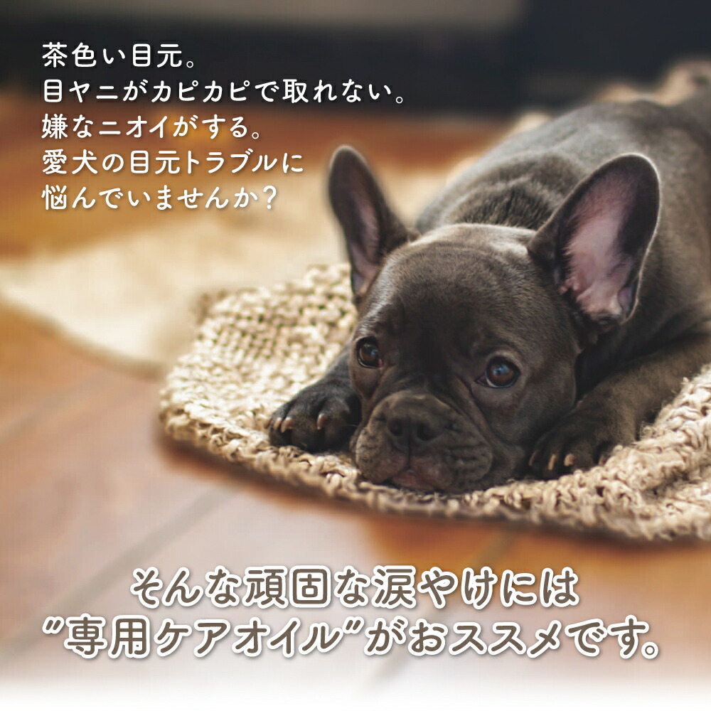 楽天市場】【獣医師 推奨】犬 猫 目元ケアにDocpal（ドクパル）ペット