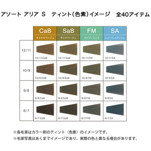 楽天市場】デミ アソート アリア S 第1剤 WB ウォームブラウン / 80g