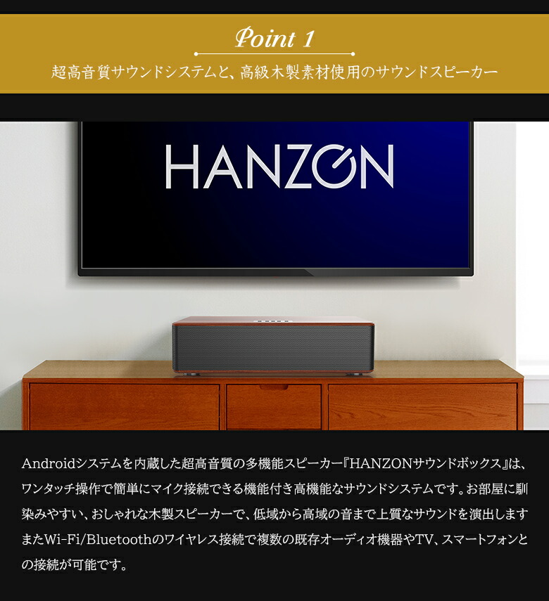 楽天市場】HANZONサウンドボックス カラオケセット 家庭用 マイク