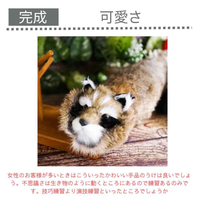 楽天市場】ラクーン 手品 マジック アクションアニマル かわいい 爆笑