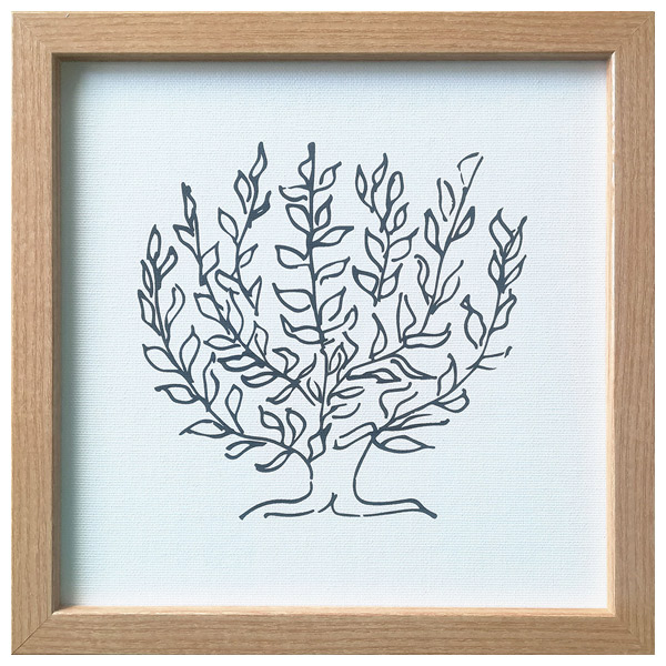 楽天市場】アンリ マティス 低木の通販