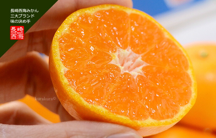 楽天市場】西海みかん 味っ子 みかん (5kg) 長崎産 秀品 SS～M 秀 甘い