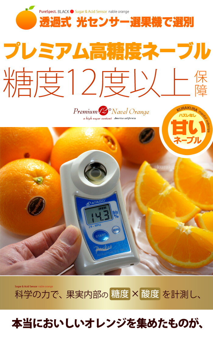 楽天市場】ピュアスペクト ブラック ネーブル 27玉 (約6.3kg) アメリカ