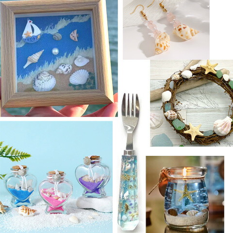 楽天市場】二枚貝 貝殻 ピンク 夏 マリン 海 サマー 夏休み 6set迄ゆう