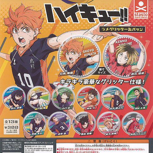 楽天市場】ハイキュー ラメグリッター 缶バッジ 全13種セット スタンド