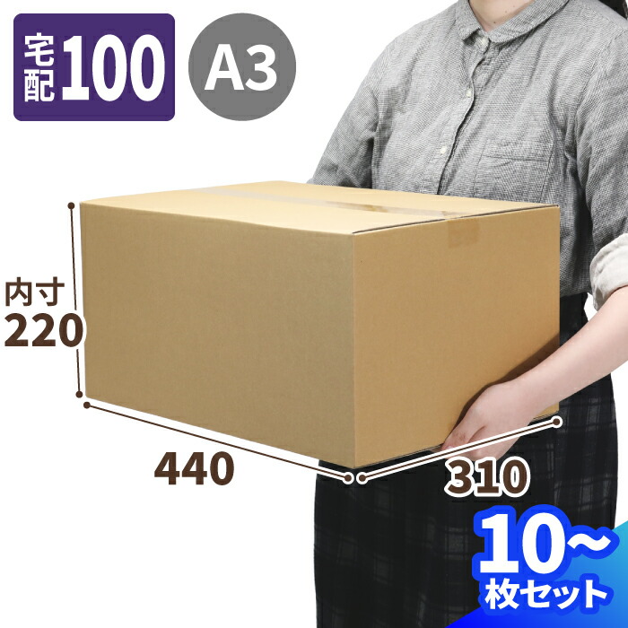楽天市場】ダンボール 100サイズ 10枚〜50枚 (440×310×220) 段ボール
