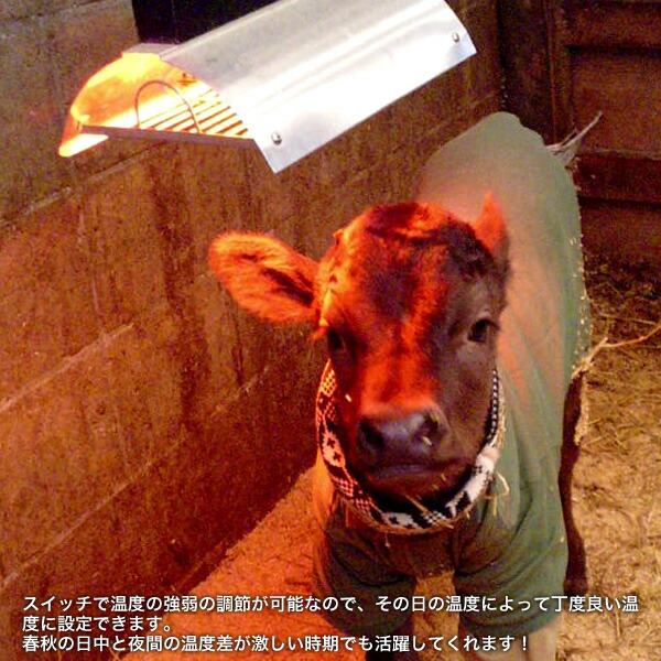 楽天市場】パナソニック コルツヒーター NK-RH12E 畜産ヒーター