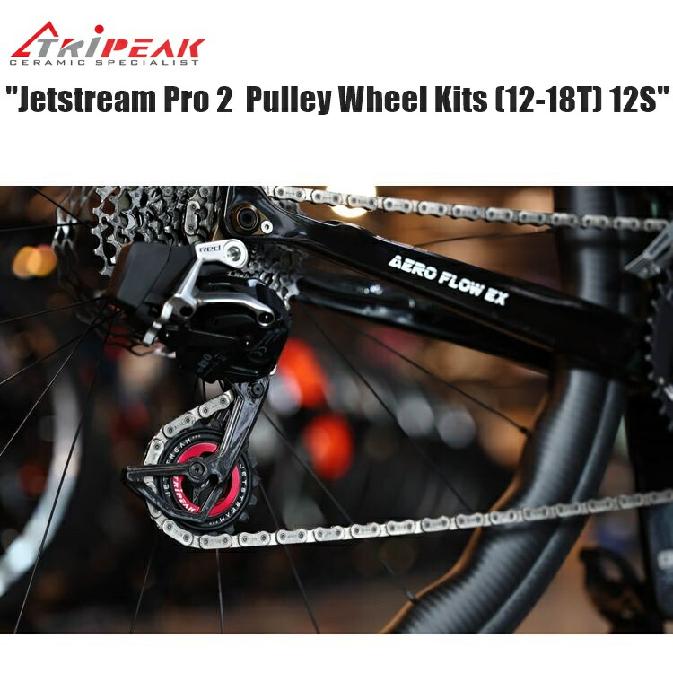 楽天市場】TRIPEAK トライピーク Jetstream Pro 2 Pulley Wheel Kits
