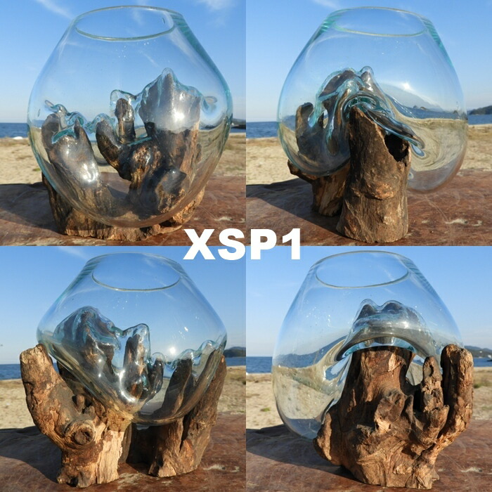 楽天市場】選べる 流木ガラスオブジェ XSP 花瓶 アクアリウム