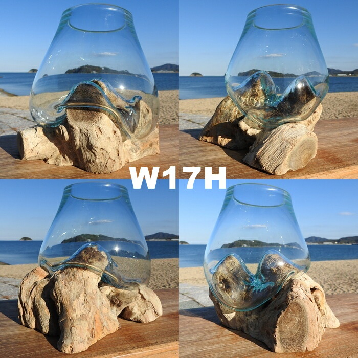 楽天市場】選べる 流木ガラスオブジェ W17 花瓶 アクアリウム