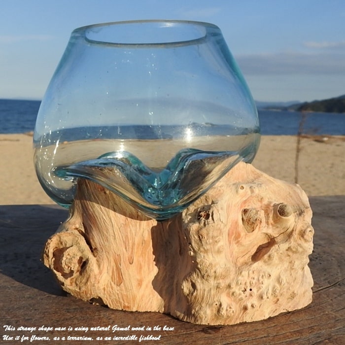 楽天市場】選べる 流木ガラスオブジェ W12 花瓶 アクアリウム