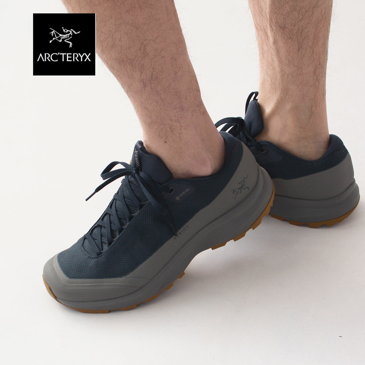 楽天市場】ARC'TERYX [アークテリクス正規代理店] AERIOS FL 2 GORE