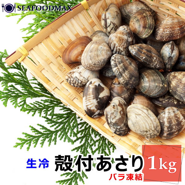 楽天市場】あさり 冷凍 殻付きあさり 1kg (約80-100粒) IQF アサリ 殻