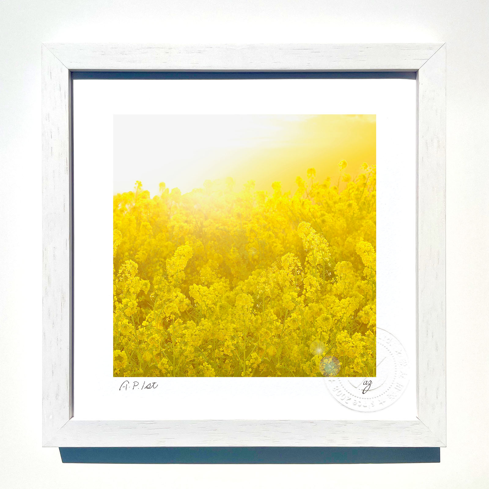 楽天市場】版画 絵画菜の花畑と太陽02/インテリア 額入り 額装込 風景