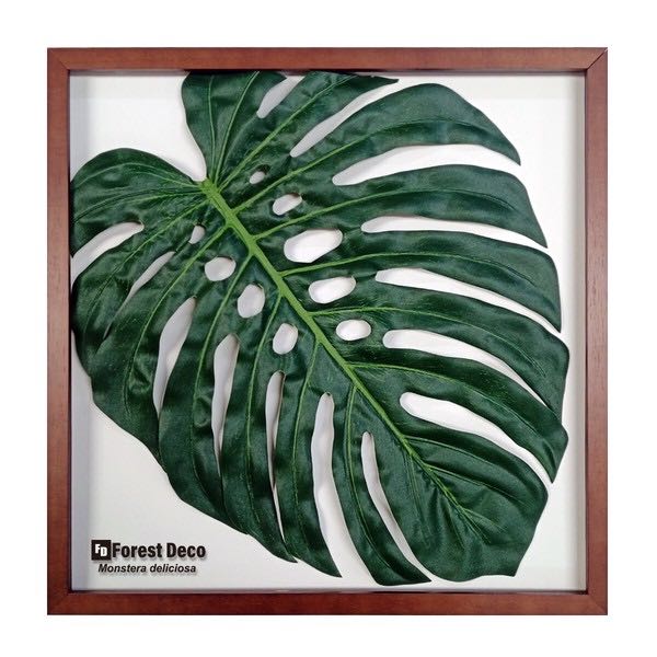 楽天市場】リーフパネル アート モンステラ・デリシオーサ1/インテリア