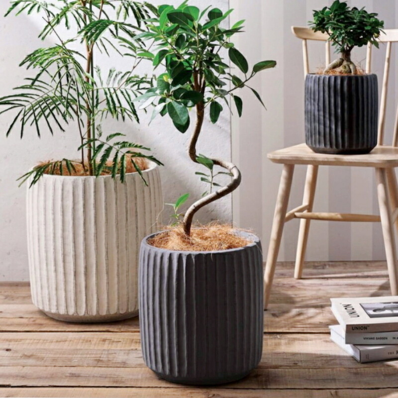 鉢 グラスファイバー プランター」の人気商品一覧 | 安い商品を通販