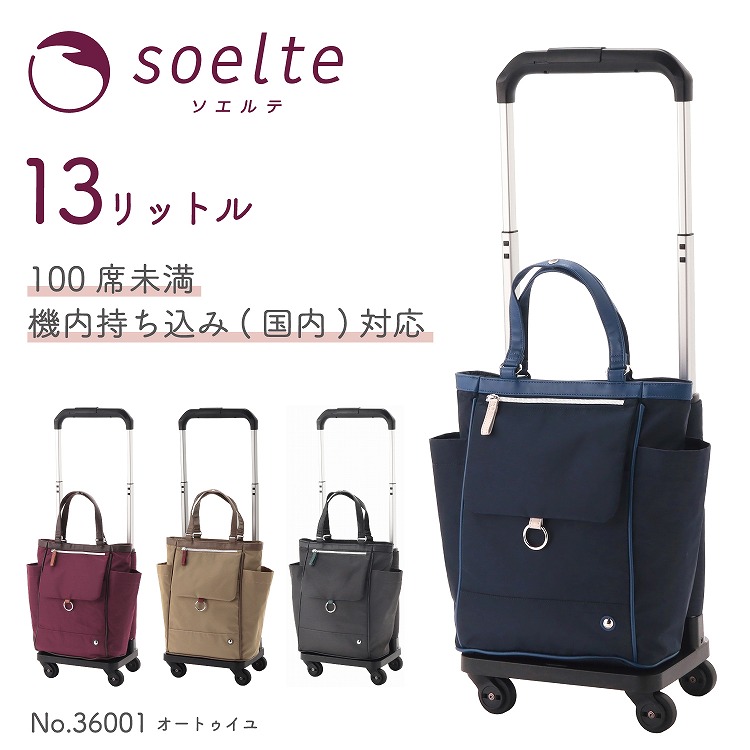 楽天市場】ソエルテ アルディート 20l エース aceの通販