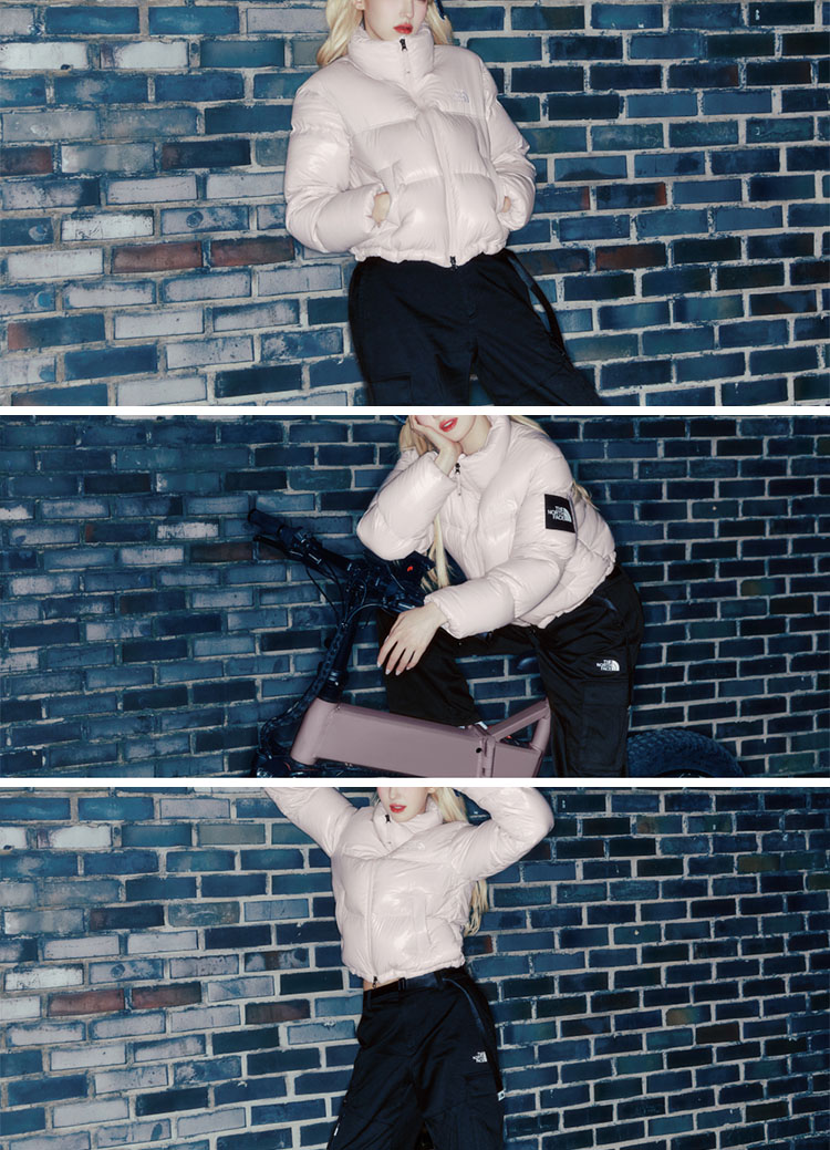 楽天市場】THE NORTH FACE ノースフェイス レディースダウン ショート