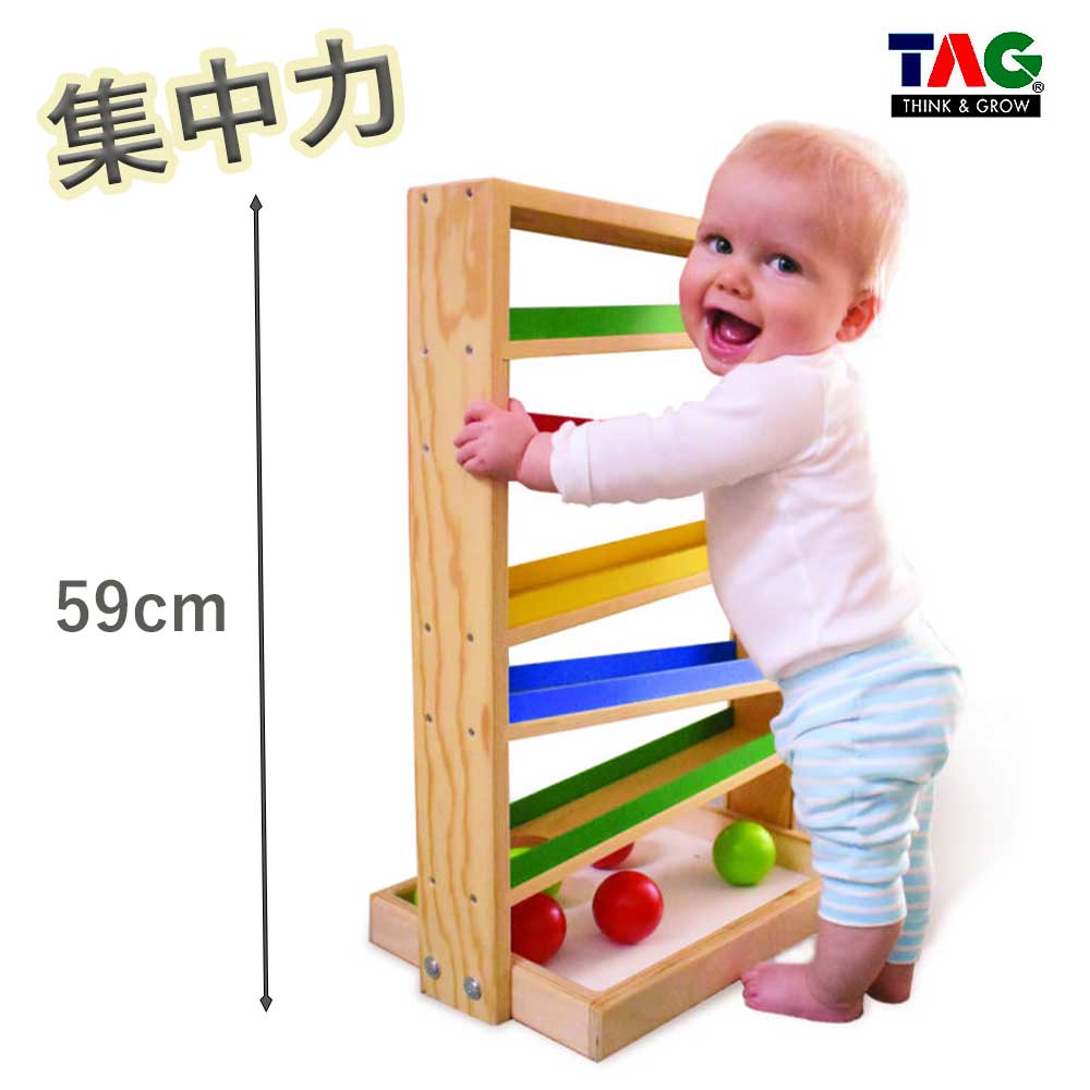 楽天市場】ラッピング可 注意力と動きの予測をさせる トラッカー TAG