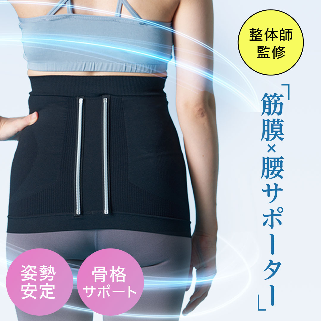楽天市場】腰用サポーターSKIN GEAR パラレル 腰用サポーター