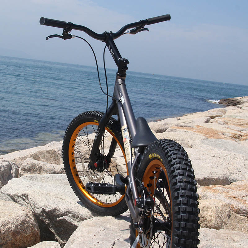 楽天市場】トライアル自転車FullMarks 20インチ【 COLOMA Disk