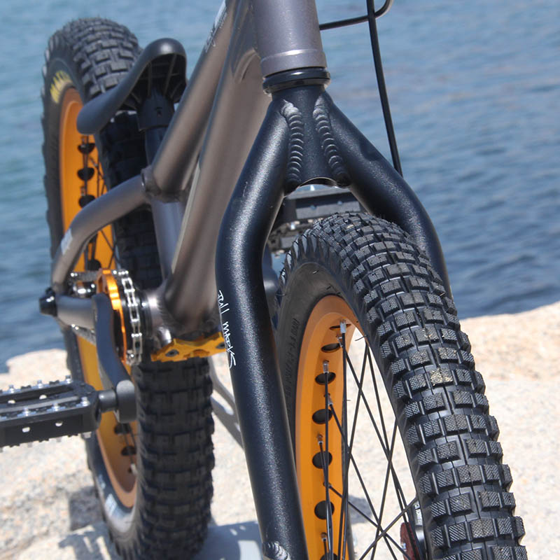 楽天市場】トライアル自転車FullMarks 20インチ【 COLOMA Disk