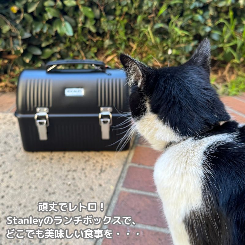 楽天市場】Stanley スタンレー クラシック ランチボックス 10クォート