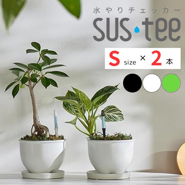 楽天市場】サスティー Sサイズ2本 グリーン ホワイト ブラック 2〜3