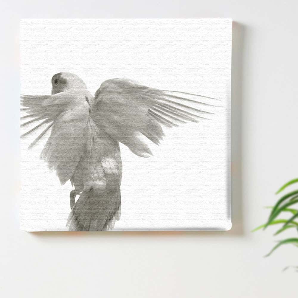 楽天市場】鳥（アートパネル・アートボード｜壁紙・装飾フィルム