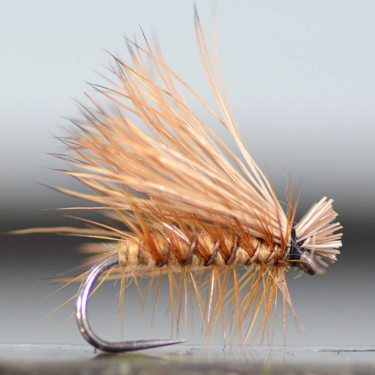 楽天市場】【5のつく日｜今だけ使えるクーポン】ドライフライ エルク