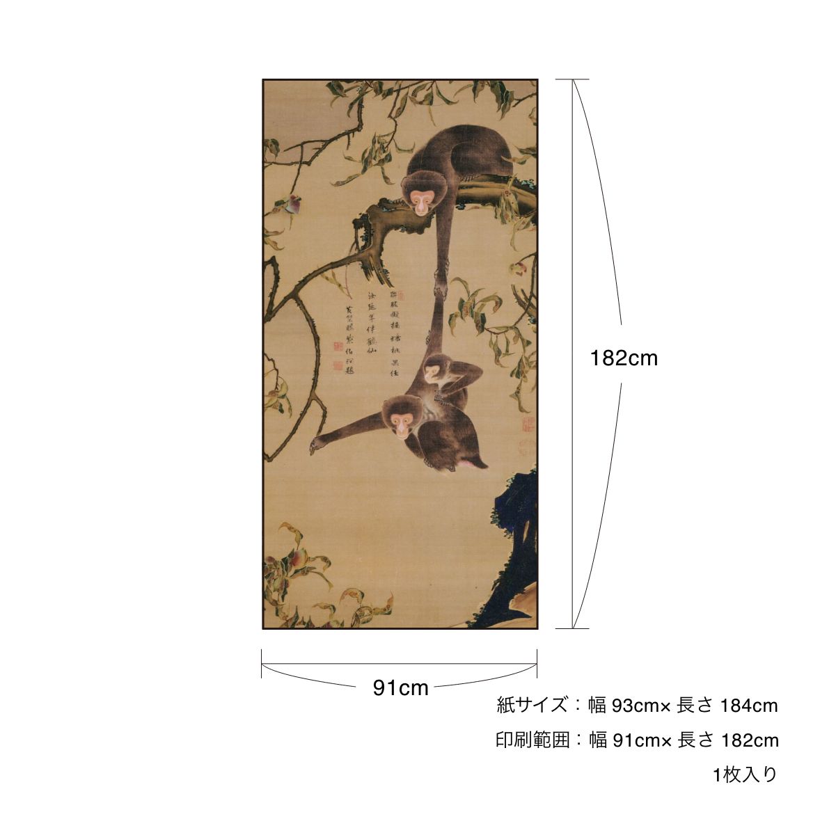 楽天市場】ふすま紙 アニマル デザイン 襖紙 猿の巻 伊藤若冲 猿猴摘桃