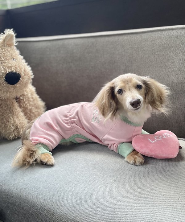 楽天市場】as know as Happyロンパース 犬 カットソー ワンピース