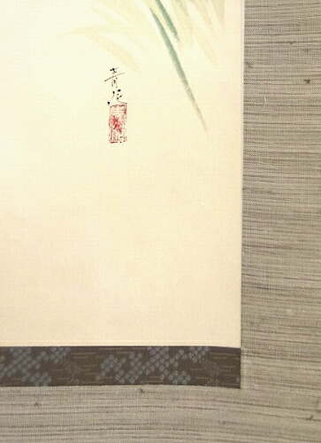 楽天市場】【掛け軸・掛軸】辰本青花『菖蒲』日本画□表装済み・新品